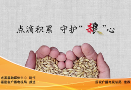 精神食粮的含义(请问精神食粮什么意思用在什么地方)