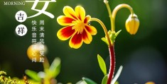 充满力量与阳光的句子(充满力量与阳光的句子简短)