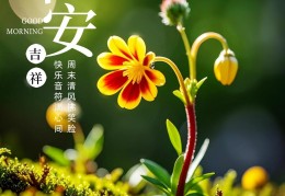 充满力量与阳光的句子(充满力量与阳光的句子简短)