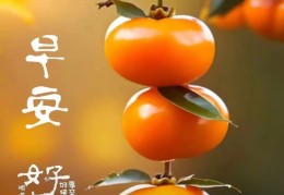 风雨兼程的出处(风雨兼程的上一句)