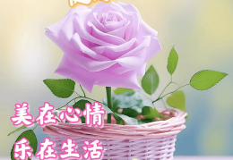 暖心又会关心人的早安短句图片(暖心又会关心人的早安短句图片带文字)