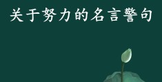 小学二年级励志名言名句(小学生二年级名言警句摘抄大全)