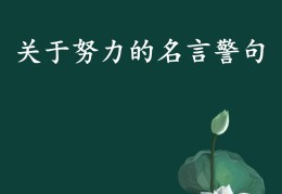 小学二年级励志名言名句(小学生二年级名言警句摘抄大全)