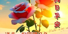 降温早上好问候语(降温了早上好问候语)
