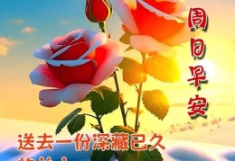 降温早上好问候语(降温了早上好问候语)