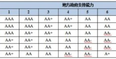 城投公司信用评级从哪里查询(城投公司的信用评级名单表)