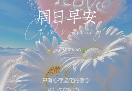 早安励志正能量满满的句子简短(早安励志正能量句子最新)