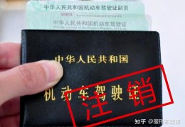 精神病患者能不能学驾照(精神病人能不能考驾驶证)