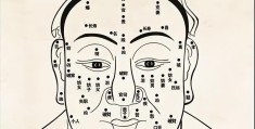 人脸五官指的是哪些部位(人脸五官图片大全可爱)