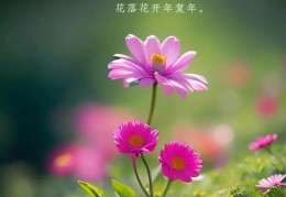 早安语录正能量的句子励志的句子(早安语录正能量短句句子大全)