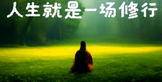 禅语道尽人生(禅语道尽人生词语)