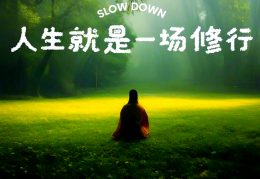 禅语道尽人生(禅语道尽人生词语)