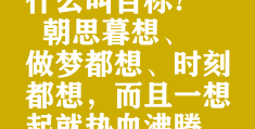 树立目标的名言警句大全摘抄(关于树立目标)