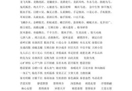 明确目标成语大全四个字(明确目标成语大全四个字开头)