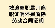 离职是什么意思(因故离职是什么意思)