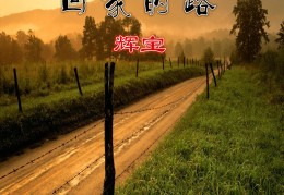 歌词风雨兼程(风雨兼程的歌词)