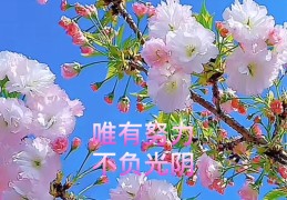 不负初心,不负自己下一句怎么说(不负初心不负使命)