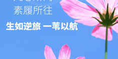 正能量一句话说说(正能量一句话文案)