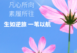 正能量一句话说说(正能量一句话文案)