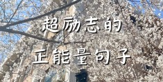正能量满满的励志句子(正能量满满的励志句子50字)