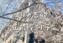 正能量满满的励志句子(正能量满满的励志句子50字)