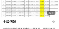 1—10级精神鉴定标准是多少(110级精神鉴定标准是多少钱)