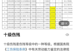 1—10级精神鉴定标准是多少(110级精神鉴定标准是多少钱)