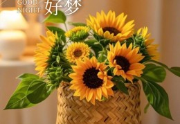 2021晚安励志朋友圈句子(晚安朋友圈励志语)