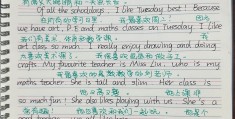 人生使命感英语作文(使命感 英语)