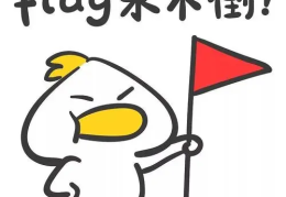flagraising是什么意思(flags是什么意思英语)