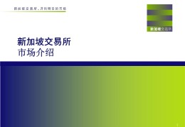 揭秘新加坡sgx交易(新加坡sgx交易所网址)