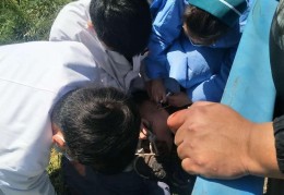 外伤引起的精神病怎么鉴定呢能治好吗(外伤精神障碍鉴定几级)