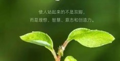 信仰和信念的区别是什么意思啊(信仰和信念的区别是什么意思啊怎么读)