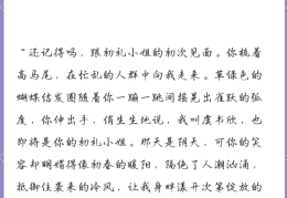 追星的励志故事(追星的励志故事正能量)