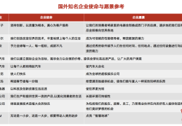 愿景是什么意思解释(愿景指的是什么的未来?)