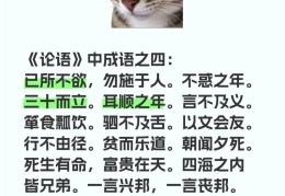 与哲学相关的成语(与哲学相关的成语有哪些 哲理又是什么)