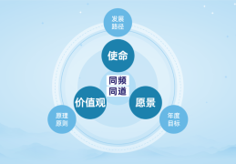 使命愿景价值观怎么写模板(使命愿景价值观怎么写模板内容)