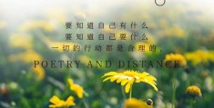 2020早安励志语录配图图片(2020年简短励志早安语带图片)