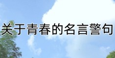 励志名言名句大全带作者(励志名言名句大全201912129355阅读)
