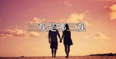 什么是三观,三观里面的人生观是啥意思(什么是三观,三观里面的人生观是啥意思啊)