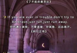 励志电影英文介绍大全(励志电影英文介绍大全视频)