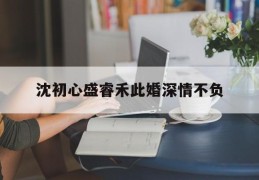 沈初心盛睿禾此婚深情不负(不负情深免费阅读全文)