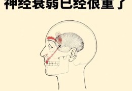 神经衰弱有哪些危害和症状(神经衰弱有哪些症状百度百科)