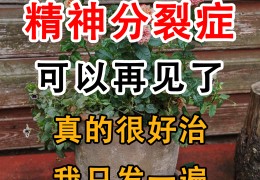 精神分列症影响结婚吗女性(精神分列症可结婚吗)