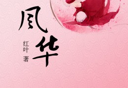 波澜风华小说下载(波澜风华小说下载百度云)