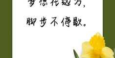 20岁有冲劲的正能量句子图片(20来岁就有强大的气场)