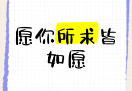 愿景指的是(愿景指的是什么)