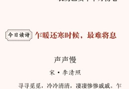着眼于同义词(着眼的近义词是什么)
