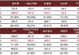城投公司信用等级有几种(城投公司的信用评级名单表)