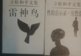最初的一共多少集(最初的第一集)
